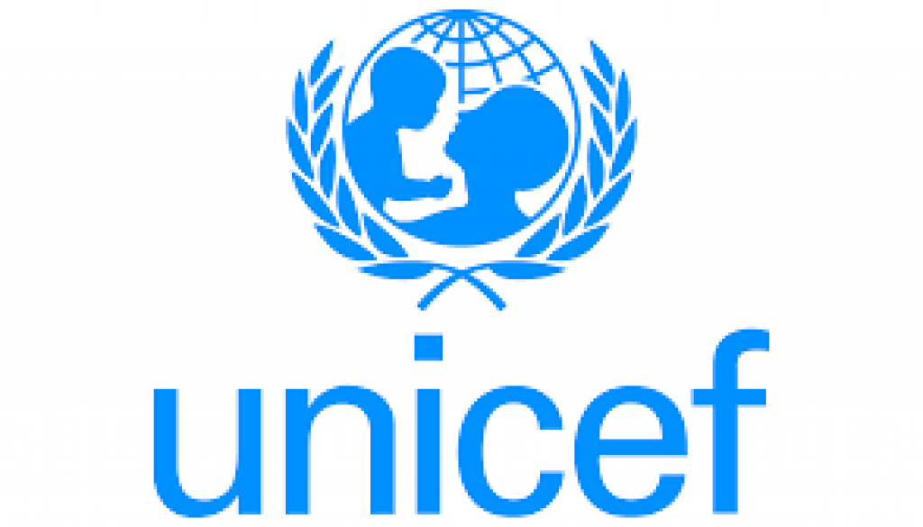 National Consultant for Immunization Supply Chain Vacancy Job Ref: VACUNICEF9465-33